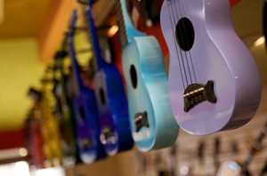 Fretted Instrument Store, Guitars Santa Rosa Image